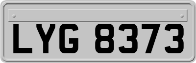 LYG8373