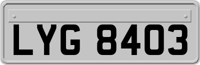 LYG8403