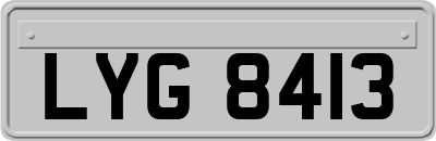 LYG8413