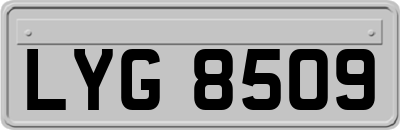 LYG8509