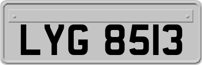LYG8513