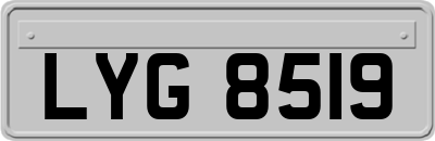 LYG8519
