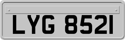 LYG8521