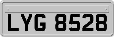 LYG8528