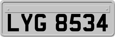 LYG8534