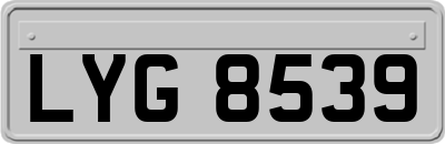 LYG8539