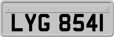 LYG8541