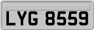 LYG8559
