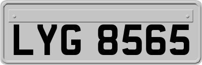 LYG8565