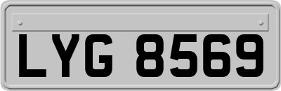 LYG8569