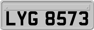 LYG8573