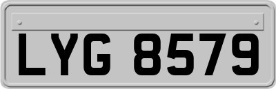 LYG8579