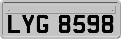 LYG8598