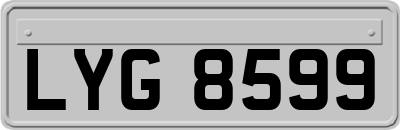 LYG8599