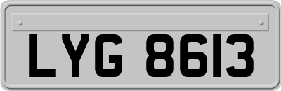 LYG8613