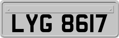 LYG8617