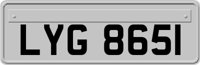 LYG8651