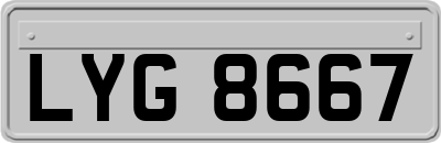 LYG8667