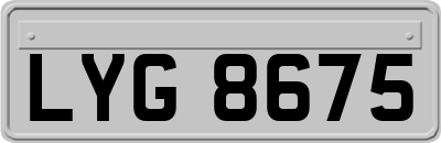 LYG8675