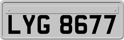 LYG8677