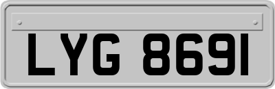 LYG8691