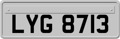 LYG8713