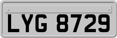 LYG8729