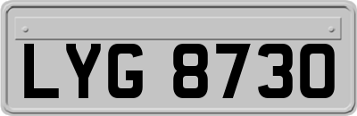 LYG8730
