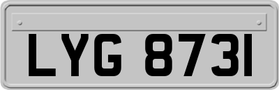 LYG8731