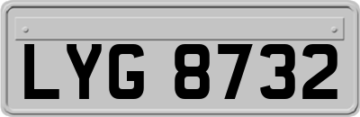LYG8732