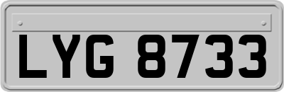 LYG8733