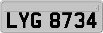 LYG8734