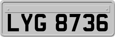 LYG8736