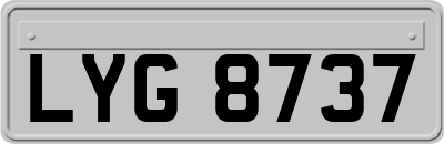 LYG8737