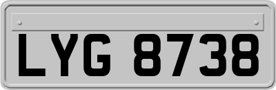 LYG8738
