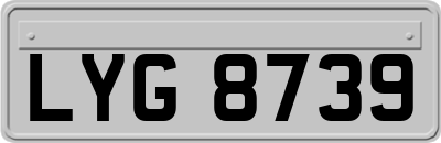 LYG8739