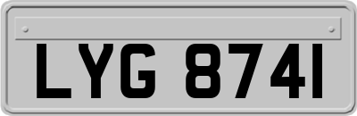 LYG8741