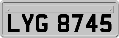 LYG8745