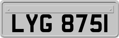 LYG8751