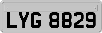 LYG8829