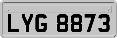LYG8873