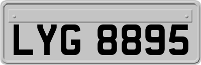 LYG8895