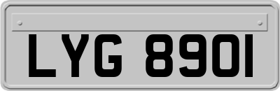 LYG8901