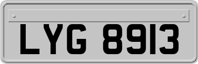 LYG8913