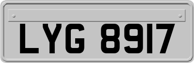 LYG8917