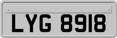 LYG8918