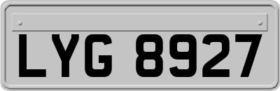 LYG8927
