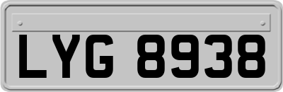 LYG8938