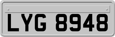 LYG8948