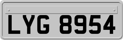 LYG8954